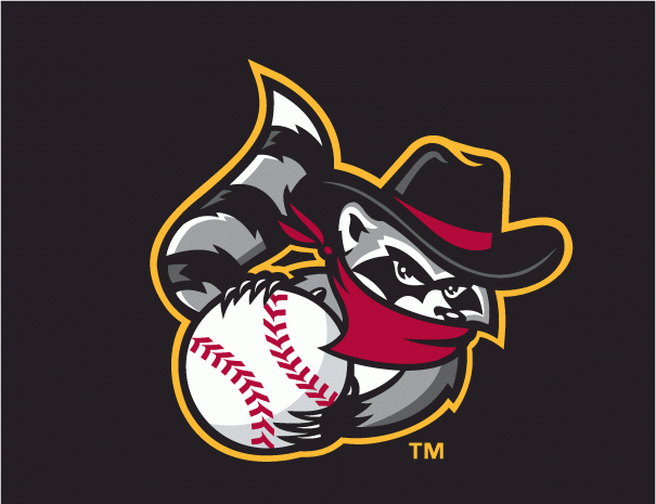 Quad Cities River Bandits 2008-2010 cap logo iron on transfers for T-shirts